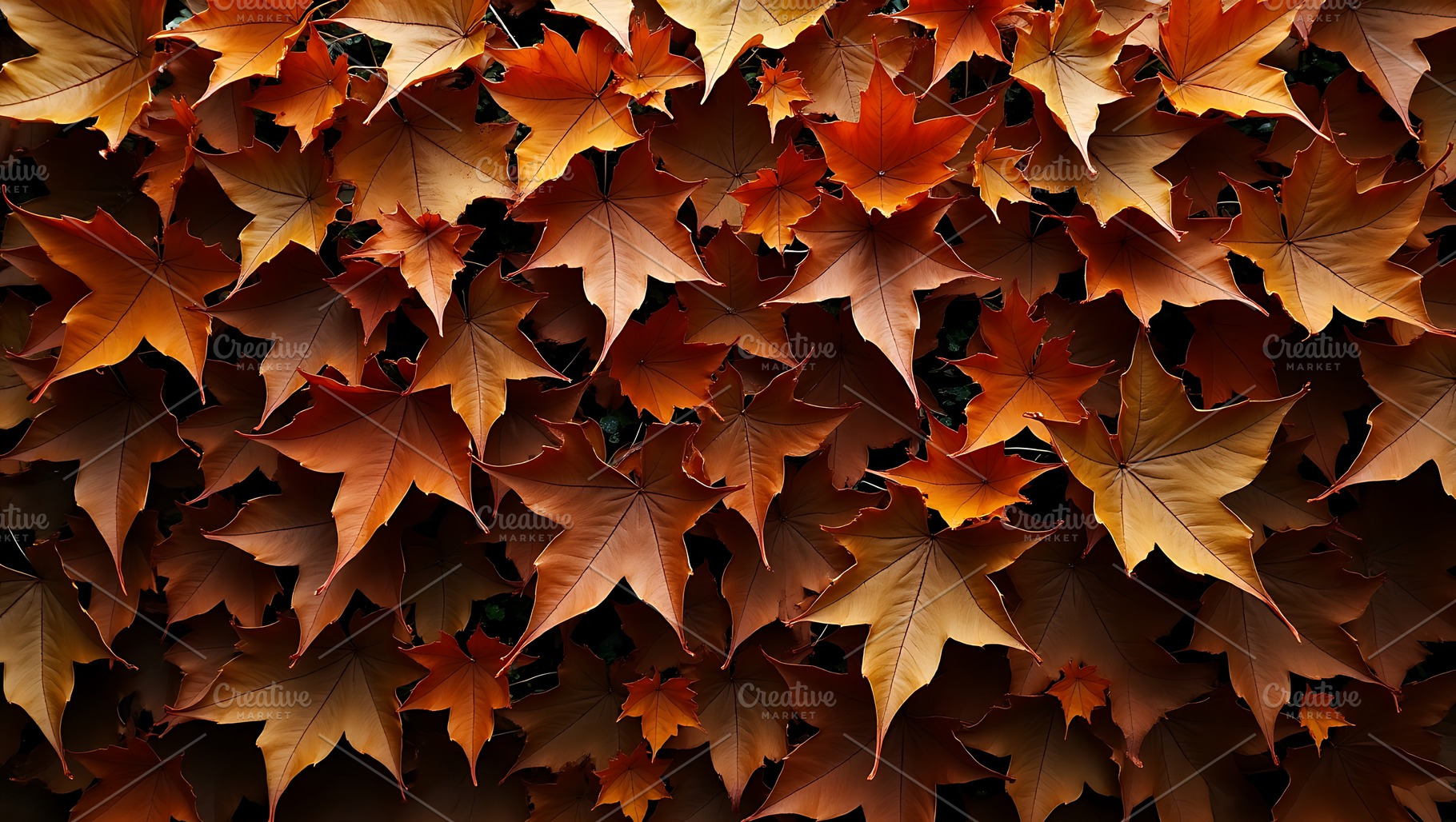 Vibrant autumn leaves displaying fie, a Nature Photo by Artonix