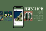 70 Aesthetic Cactus Stock Photos, a Nature Photo by Incomelion (Thumbnail 2 of 14)