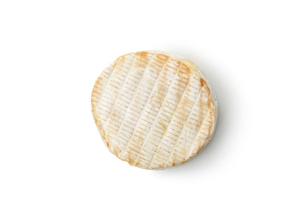 Tasty grilled camembert isolated on white background