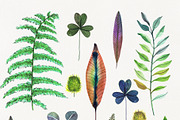 Botanical watercolor leaves set, a Decorative Illustration by Art AleshkaK (Thumbnail 2 of 10)