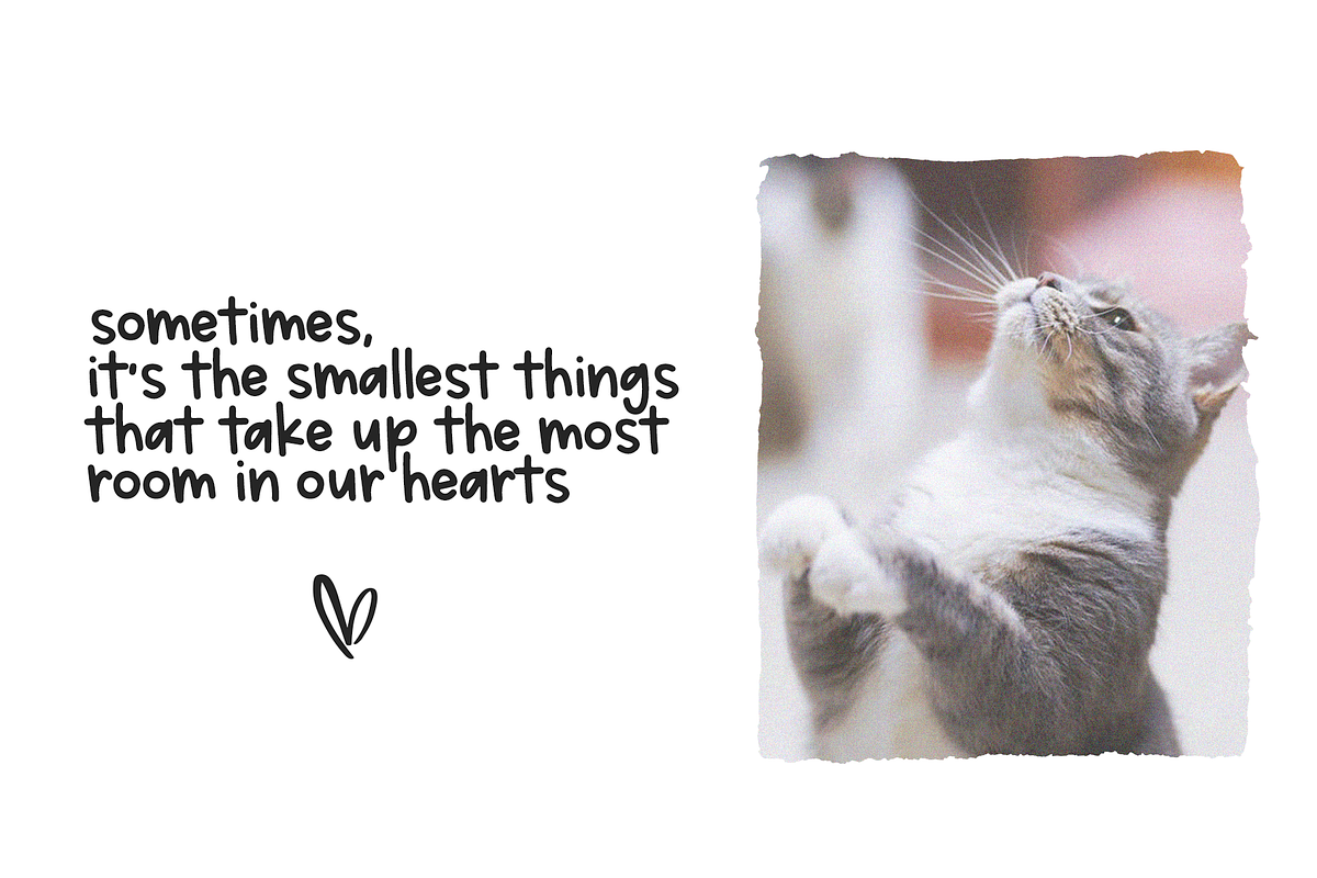 Sunshine Market - Handwritten Font, a Sans Serif Font by KA Designs (Photo 7 of 12)