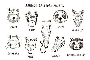 Animals Of South America Funny Faces