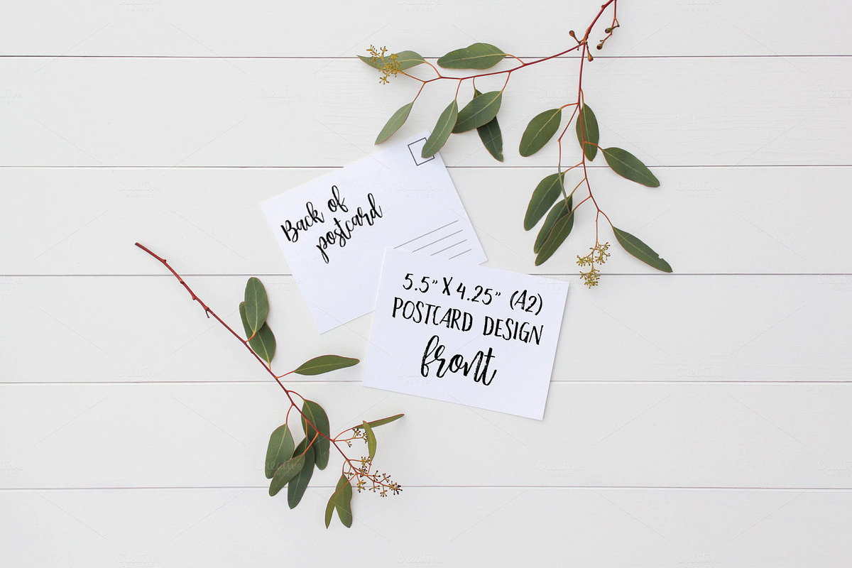 Eucalyptus Stationery Bundle SALE, a Print Template by ILLONA GRAPHICS (Photo 3 of 7)