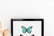 A4 Print mock up black frame A5 A3, a Print Template by Grace White (Thumbnail 2 of 4)