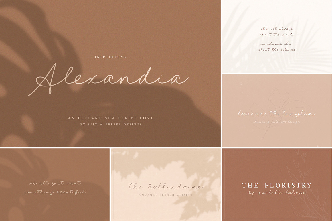 The HUGE Font Bundle (98% OFF) SALE, a Sans Serif Font by Salt & Pepper Designs (Photo 29 of 185)
