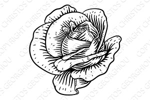 Rose Flower Vintage Woodcut Drawing