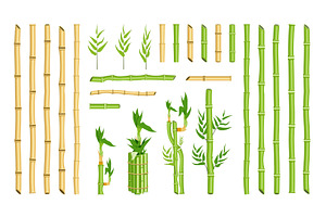 Straight curved bamboo stick stem, a Decorative Illustration by studioworkstock
