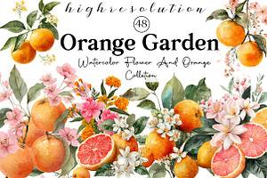 Watercolor Flower And Orange Clipart, an Illustration by DreamCafeArt
