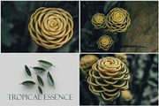 Tropical Essence. Photo bundle, a Wallpaper Graphic by EYWA ART (Thumbnail 8 of 8)