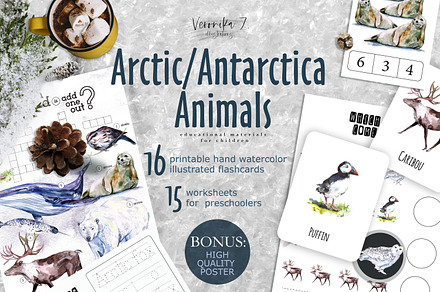 Arctic and Antarctic animals bundle