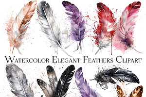 Watercolor Elegant Feathers Clipart