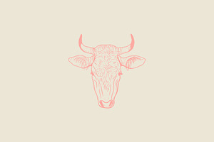 Vector Bovine Graphics