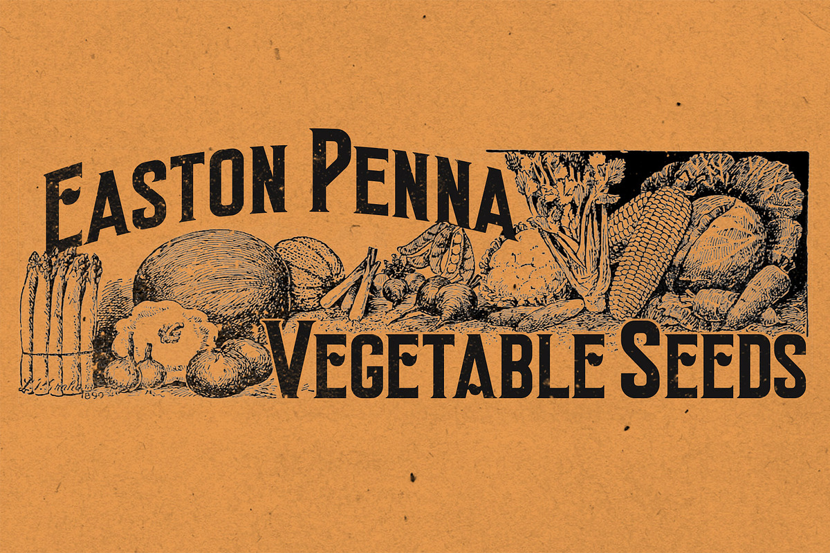 Easton Sans & Serif preview 7
