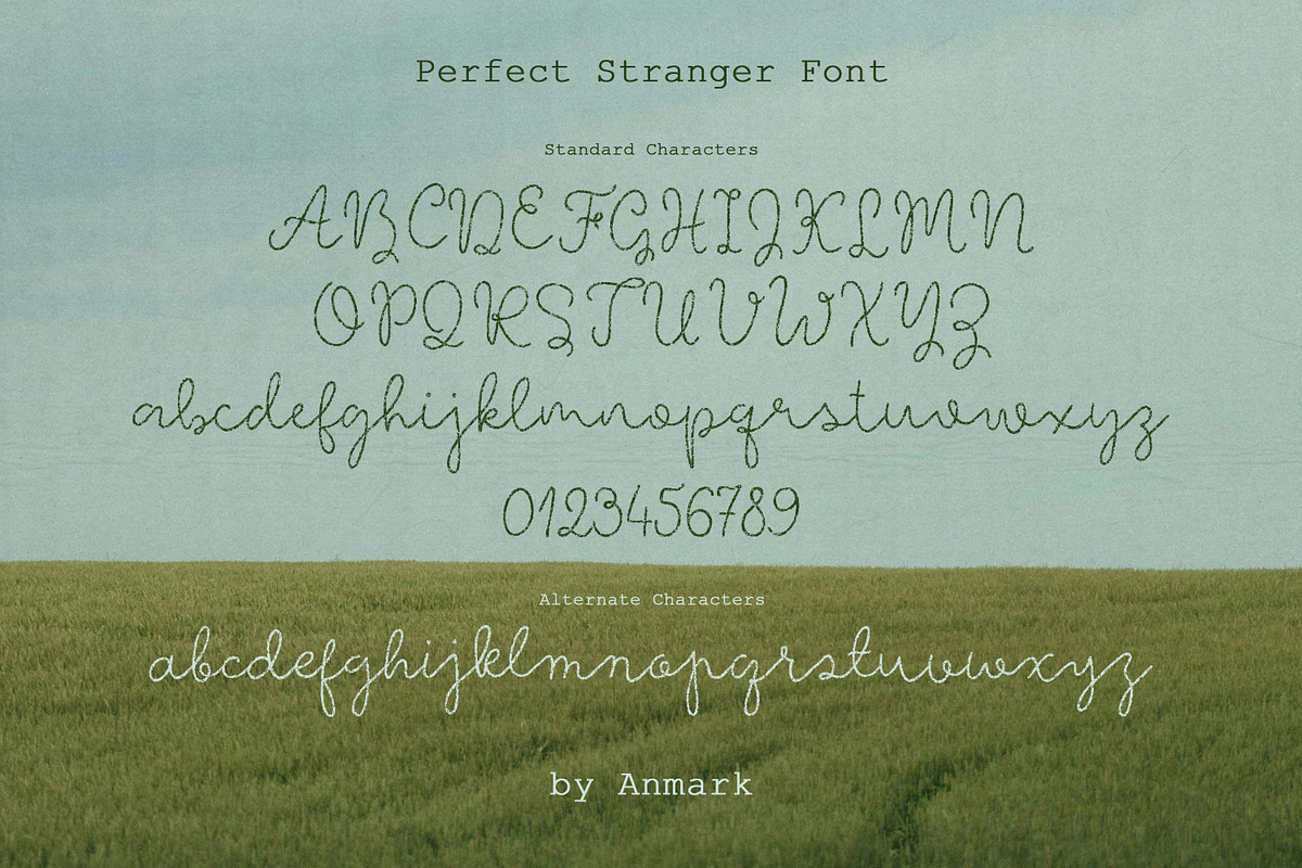 Perfect Stranger Raw Textured Font, a Script Font by AnMark (Photo 6 of 11)