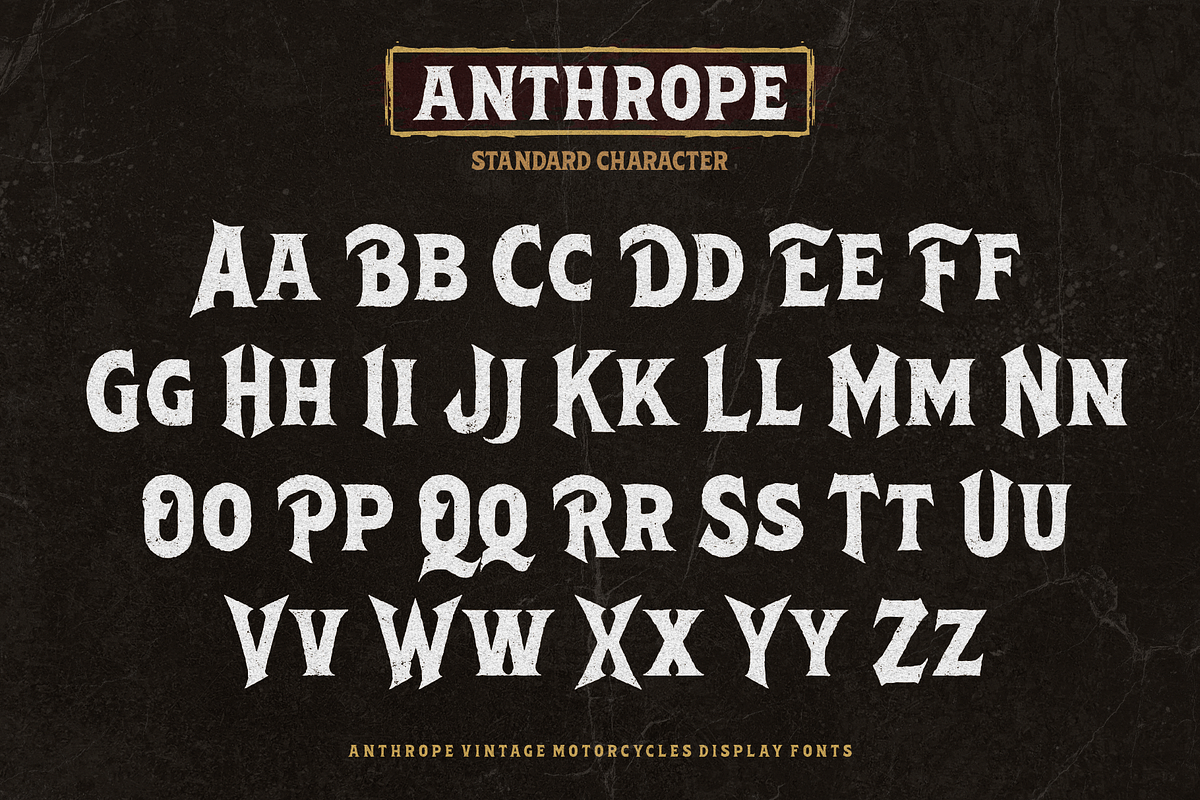 Anthrope, a Serif Font by ilhamtaro (Photo 7 of 10)