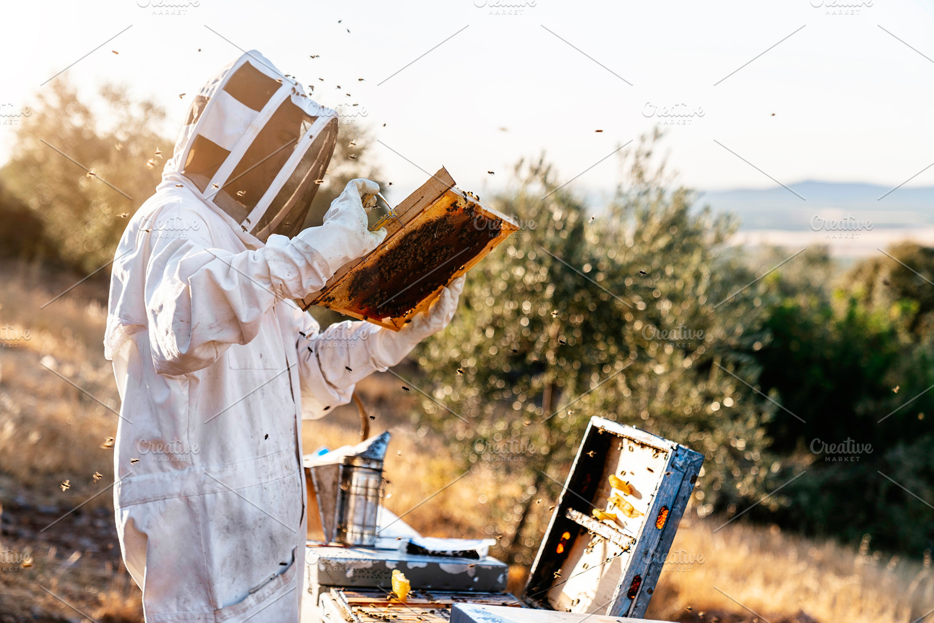 Beekeeper working collect honey bee featuring beekeeper, bee, and honeycomb, an Industrial Photo by nunezimage