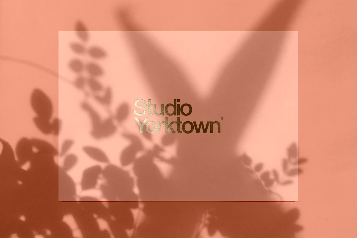 Kage - Botanical Shadow Overlays, a Texture Graphic by Studio Yorktown (Photo 3 of 10)
