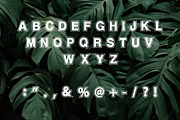 Old School, a Slab Serif Font by Fourteen Letter (Thumbnail 4 of 7)