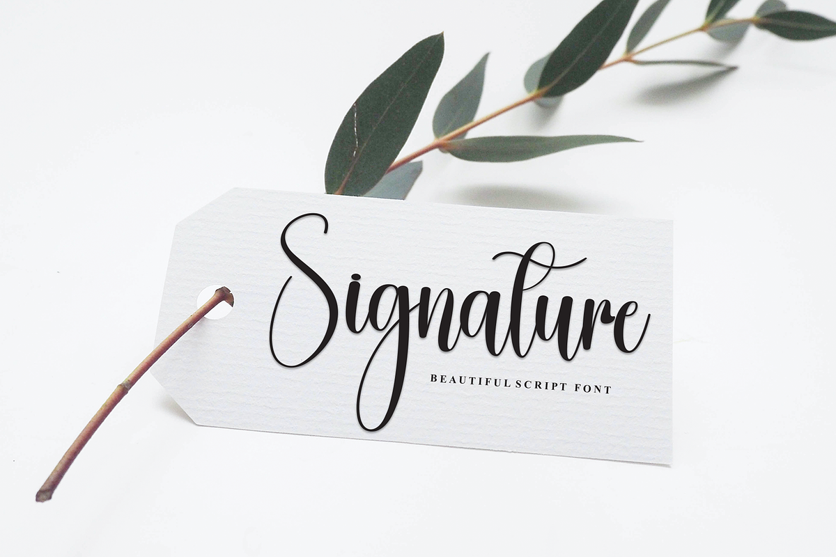Seahourse | Script Font, a Handwritten Font by Scratchones (Photo 4 of 8)