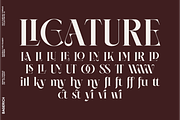 NEIMA, a Serif Font by Bagerich Type Foundry (Thumbnail 9 of 15)