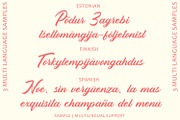 Cryolite - Brush Script Font, a Script Font by Arendxstudio (Thumbnail 7 of 11)