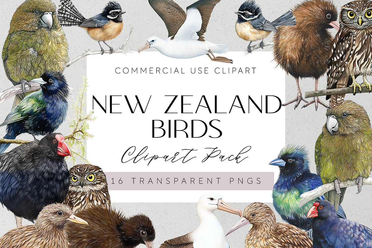 New Zealand Native Bird Clipart, an Animal Illustration by Pawcasso's Portraits (Photo 1 of 9)