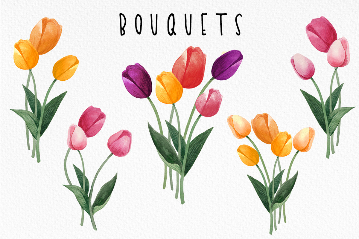 Watercolor tulips clipart bundle, an Object Graphic by MiraBell (Photo 2 of 5)