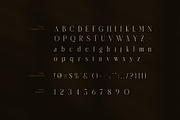 Amelin Elegant Serif Font, a Serif Font by Graphicxell (Thumbnail 7 of 8)