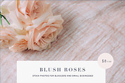 Blush roses stock photos SALE!, a Books & Magazine Mockup by Nellaino (Thumbnail 1 of 4)