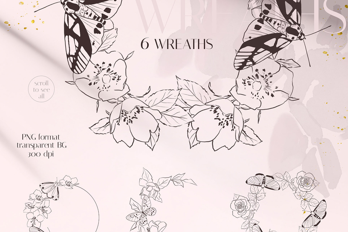 MOTHS & BUTTERFLIES illustration set, an Animal Illustration by Yuliia Lashevska (Photo 9 of 13)