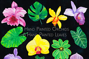 Wild Orchids Graphic and Texture Kit, a Graphic by Method & Process (Thumbnail 5 of 15)