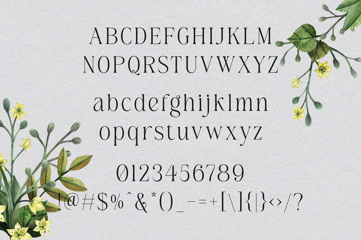 Belinda Avenue || Stylish Classic Se, a Serif Font by BrandSemut (Photo 10 of 10)