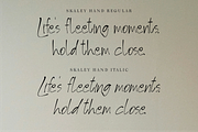 Skaley Hand - Inkstyle Signature, a Handwritten Font by Indotype Foundry (Thumbnail 6 of 10)