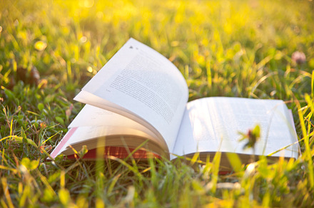 Open book on grass