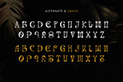 Ranvel, a Serif Font by Letterara (Thumbnail 8 of 11)