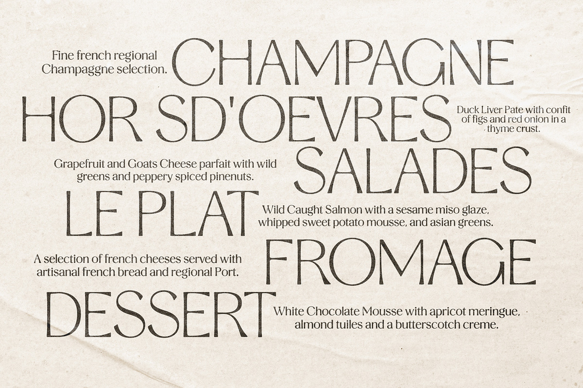 Stylish Aesthetic Typeface, a Sans Serif Font by Nicky Laatz (Photo 28 of 29)