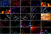 Romantic Heart Bokeh Photo Overlays, an Action Add-On by PhotoSpirit (Thumbnail 12 of 13)