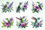 Beautiful Hummingbird Watercolor Png, an Illustration by Creative Art (Thumbnail 2 of 6)