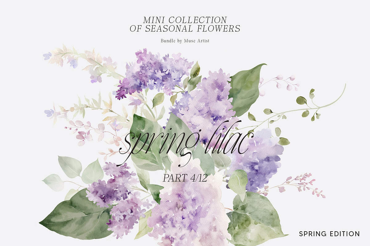 SPRING BOX Watercolor Bundle 400+, a Decorative Illustration by Muse Artist (Photo 27 of 99)