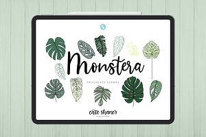 Monstera Procreate Stamp Brushes