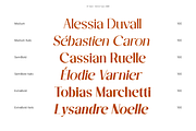 DT Garet – Luxury Serif Typeface, a Font by Diztinct Type (Thumbnail 2 of 12)