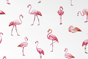 Flamingo Tropical Seamless Patterns, a Pattern Graphic by PatternPalette (Thumbnail 9 of 12)