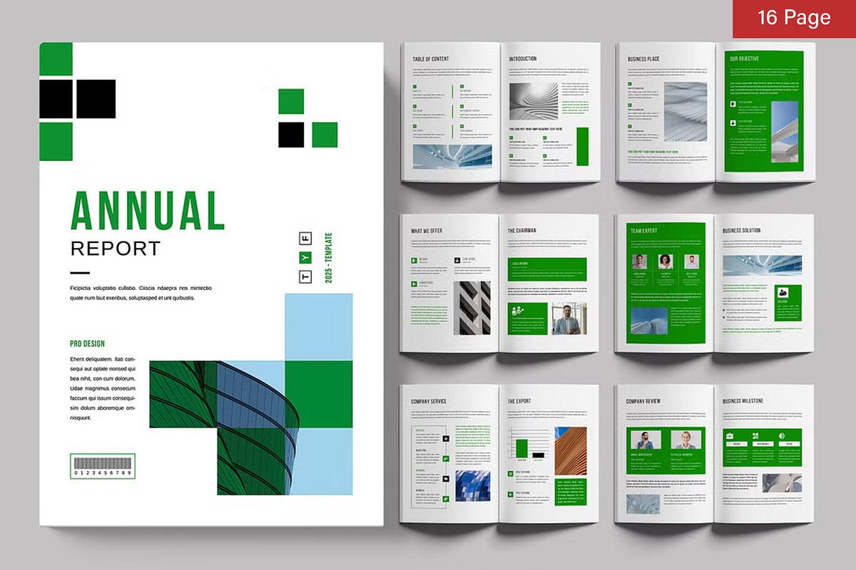 Annual Report Bundle, a Brochure Template by ContestDesign (Photo 3 of 17)