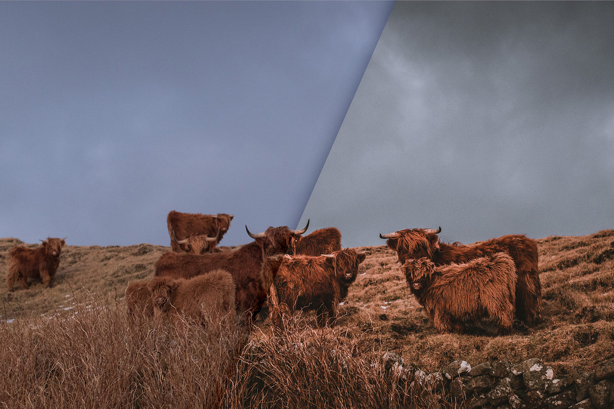 Moody Lightroom Presets - Landscapes, an Action Add-On by PhotoMarket (Photo 21 of 35)