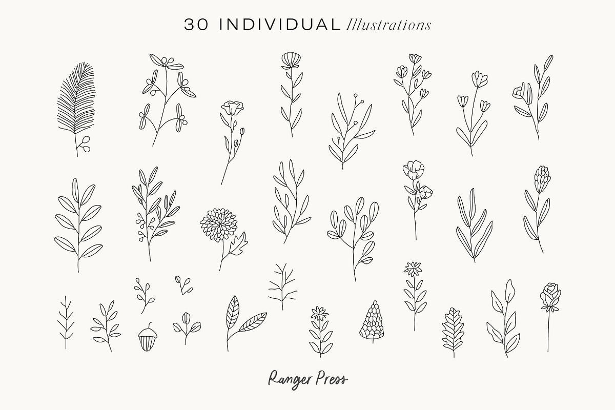 Wildflowers Line Art Botanicals, an Illustration by LifestyleCraftCo (Photo 2 of 6)