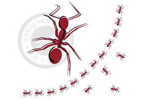 Ant