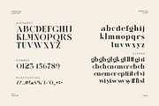 Migko Modern Ligature Serif Font, a Serif Font by Perfectype (Thumbnail 5 of 6)