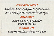 Reckless Bleed Ink Script Font, a Script Font by TD fonts (Thumbnail 7 of 10)