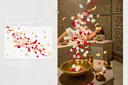 Multicolored Rose Petals Overlays, a Texture Graphic by Kaleriia (Thumbnail 12 of 16)