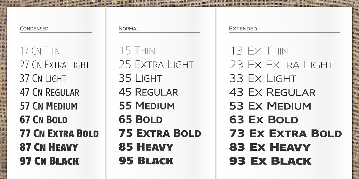 Core Sans N SC, a Sans Serif Font by S-Core (Photo 3 of 6)